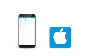 iPhone App PerfectView